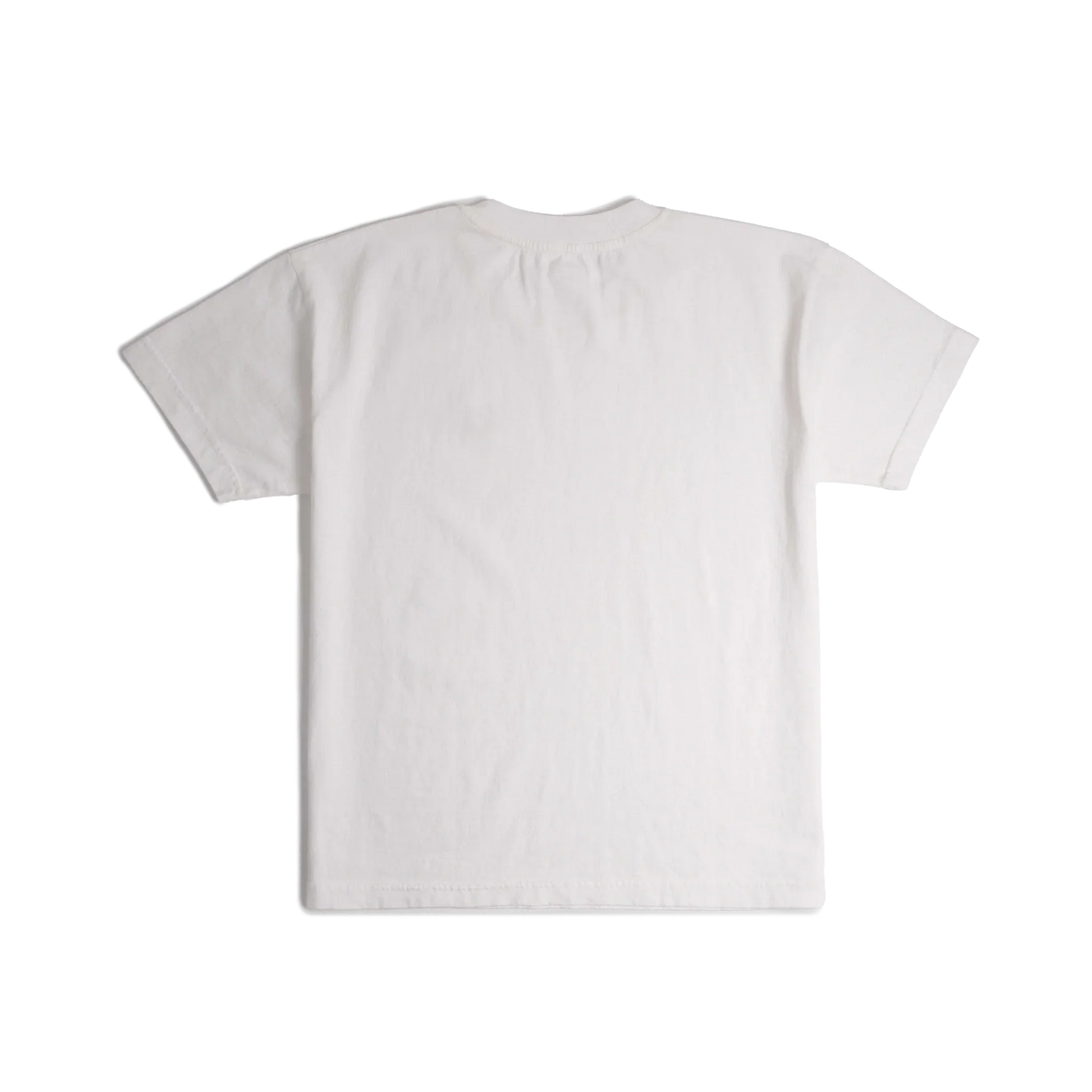 Back image of Topo Designs x Soft Goods Label Tee in "White"